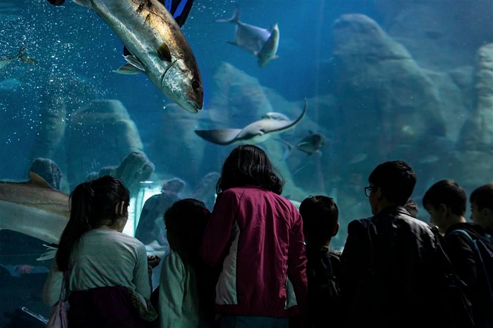 Grup Satış ve Rezervasyon Hakkında