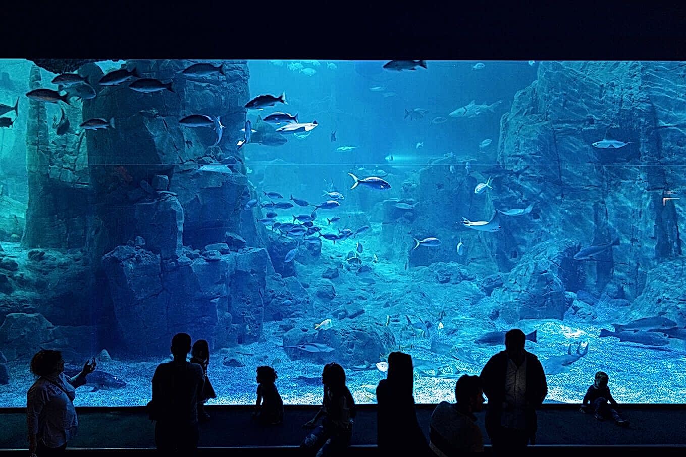 istanbulakvaryumkompleksi_img