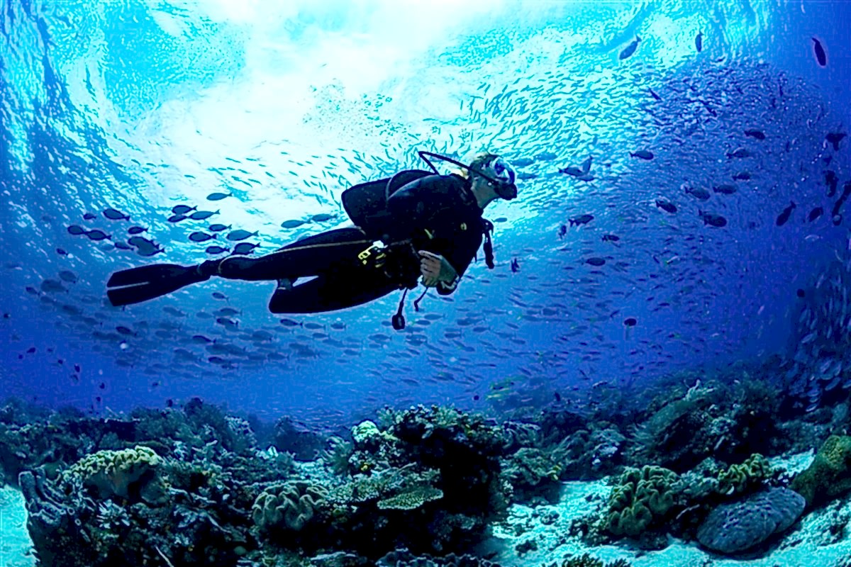 Scuba Diving Hakkında Bilmeniz Gerekenler