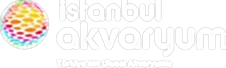 İstanbul Akvaryum Logo