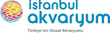 İstanbul Akvaryum Logo